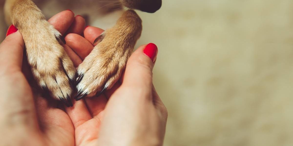 relazione tra cane e uomo con Caterina Giardini